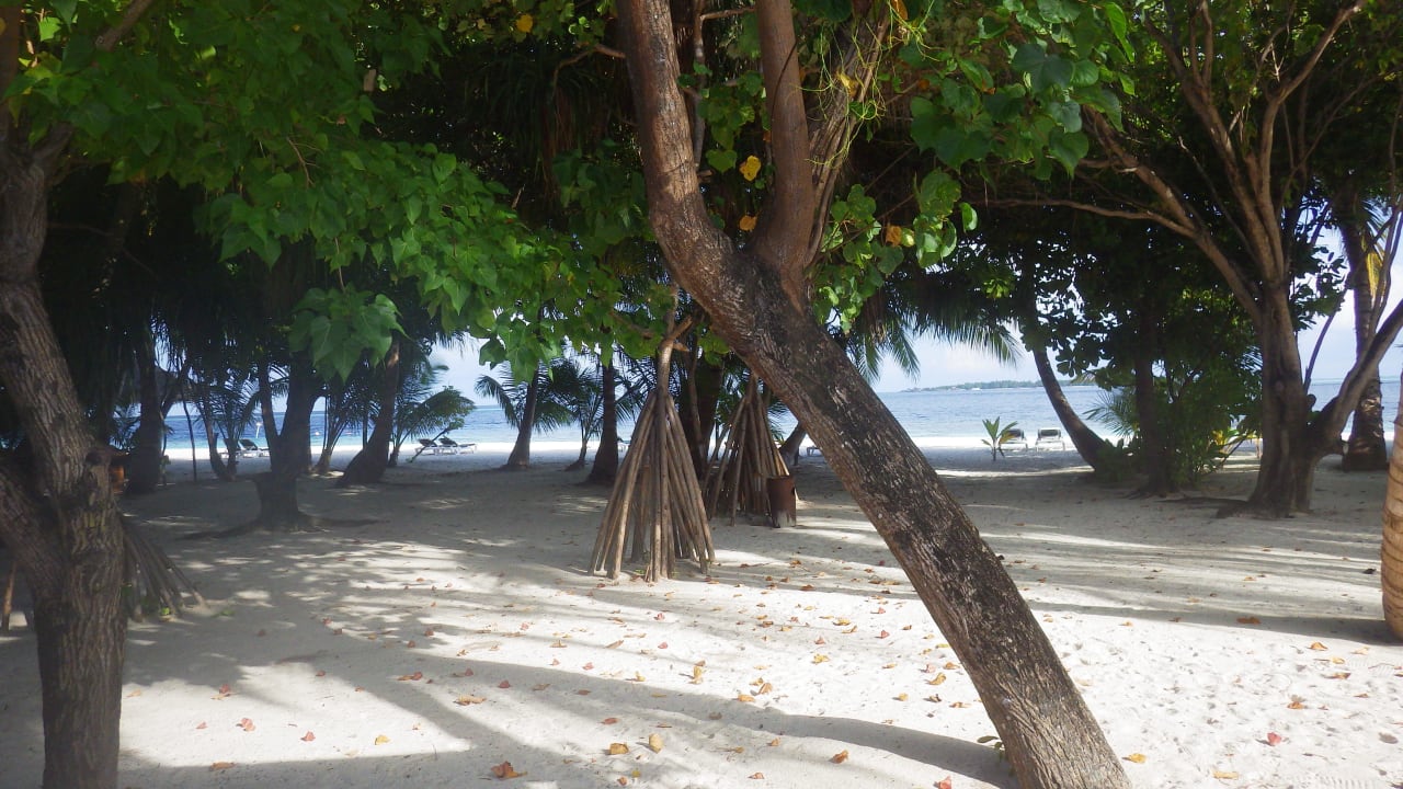 Blick vom Bungi Vilamendhoo Island Resort & Spa