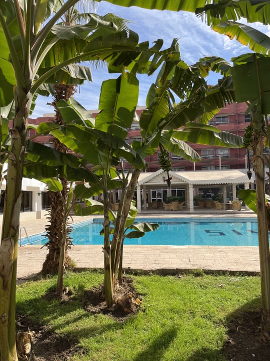 Pool Pyramisa Hotel Luxor