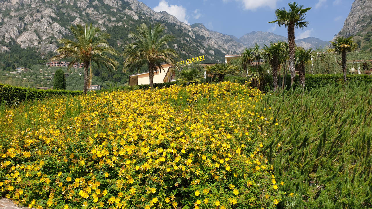 Gartenanlage Hotel Caravel