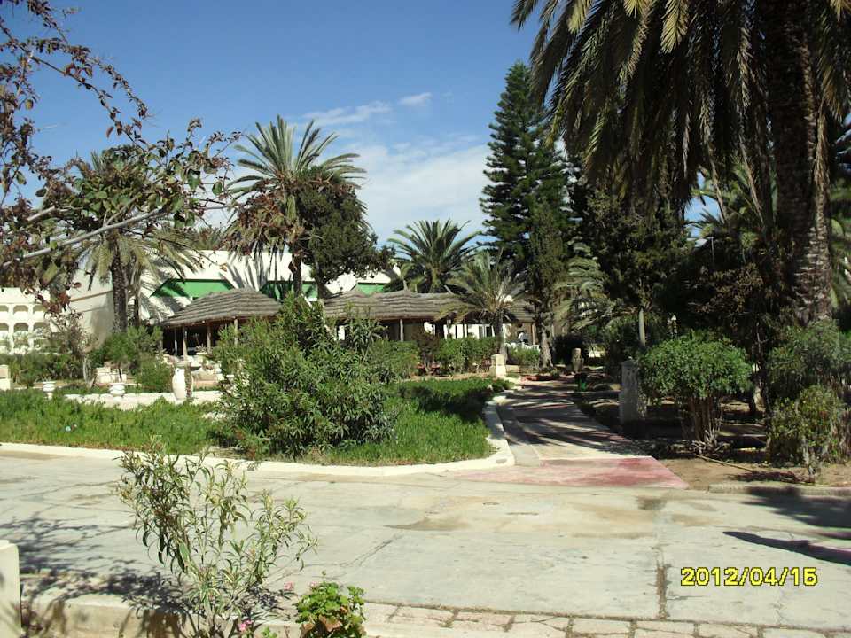 Ogród Hotel Hill Diar