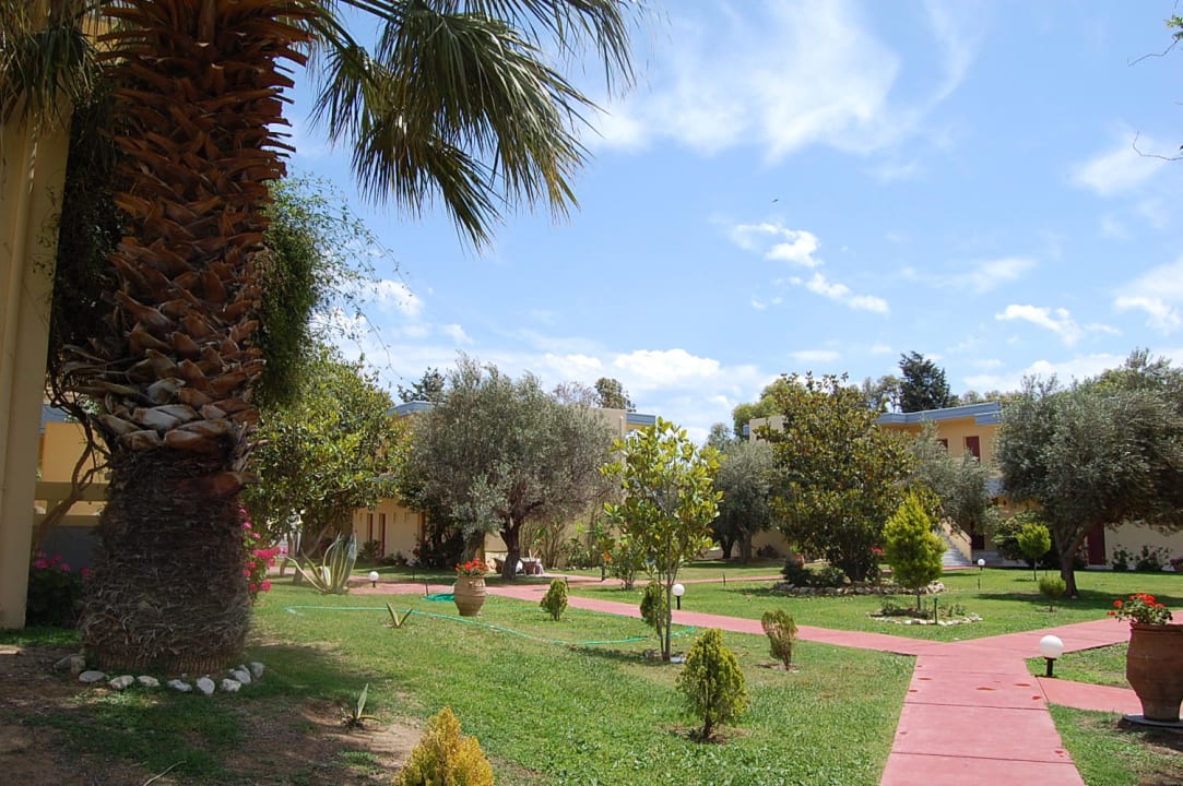 Palmy Hotel Golden Odyssey