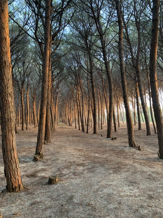 Gartenanlage TUI MAGIC LIFE Calabria