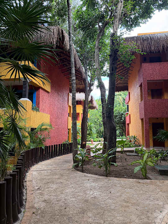 Zimmer Iberostar Waves Quetzal