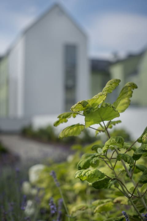 Gartenanlage Uzdrowisko Świnoujście S.A. Hotel Admiral I