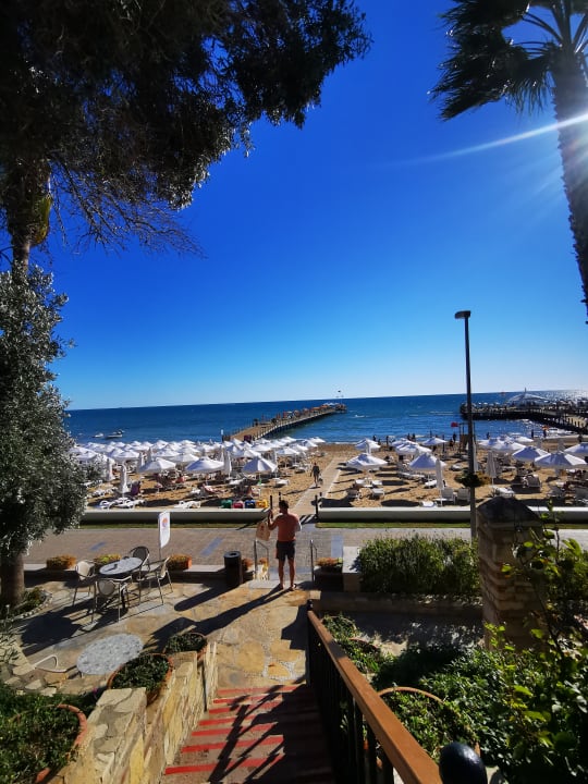 Strand Arum Barut Collection