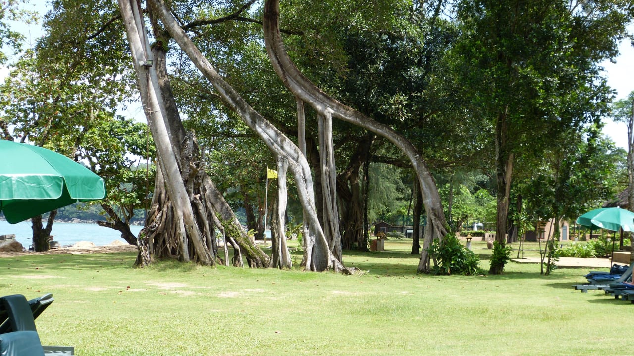 Am Strand Khao Lak Merlin Resort