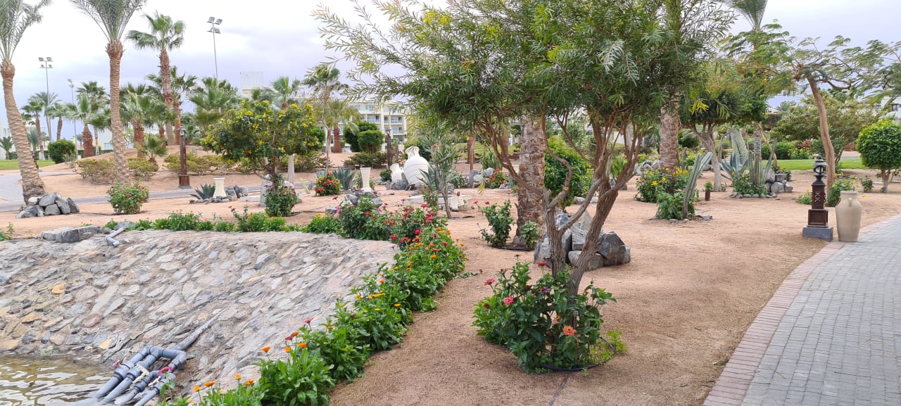 Gartenanlage Steigenberger ALDAU Beach Hotel