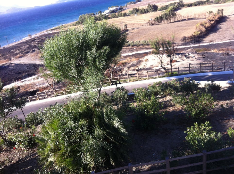 Blick vom Balkon Richtung Süden Lagas Aegean Village