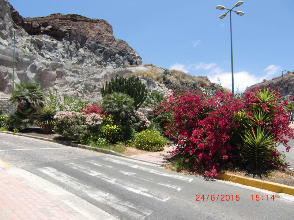 Weg zum Strand Gloria Palace Royal Hotel & Spa