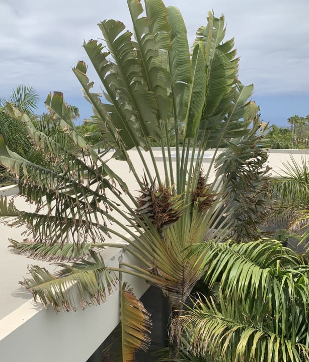 Ausblick Hotel Riu Palace Meloneras