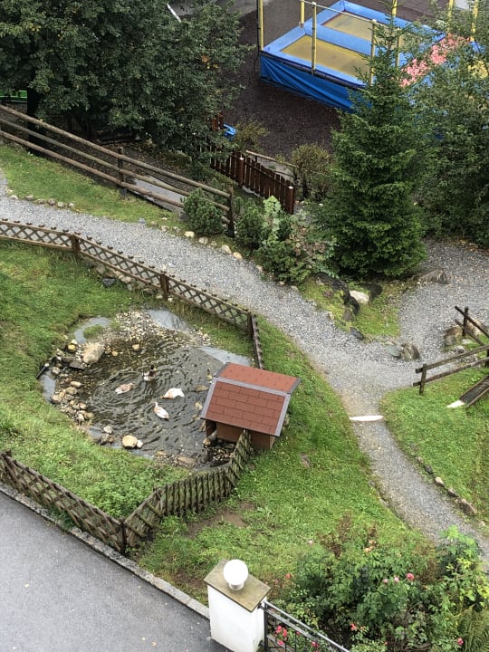 Ausblick Alpina Alpendorf