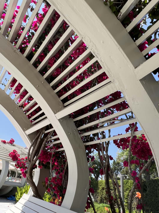 Gartenanlage Susesi Luxury Resort