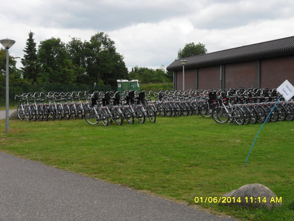 Fahrradverleih Ferienpark Hof van Saksen