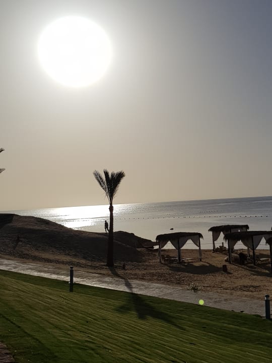 Strand Steigenberger Coraya Beach - Adults only