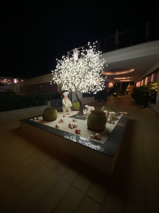 Ausblick Hotel Riu Gran Canaria