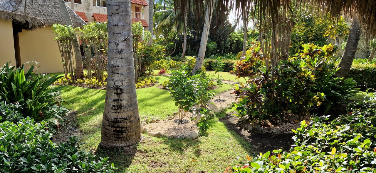 Gartenanlage TRS Turquesa Hotel - Adults only