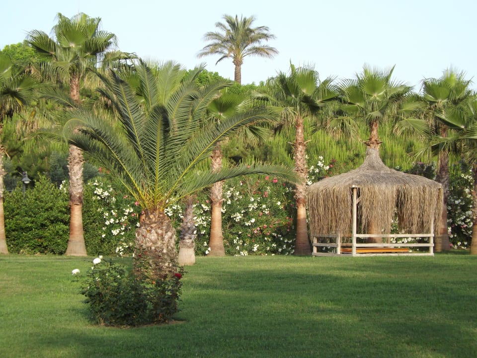 Garten Royal Atlantis Beach Hotel