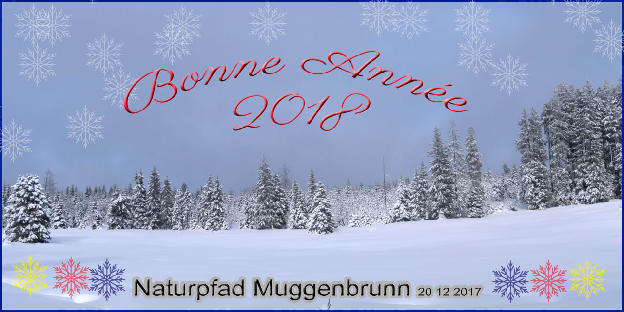 Außenansicht Naturparkhotel Grüner Baum