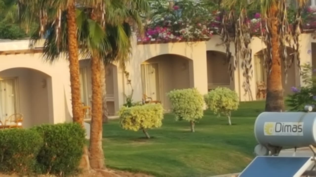 Zimmer Parrotel Beach Resort