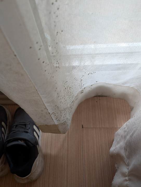 Zimmer Sun City Apartments