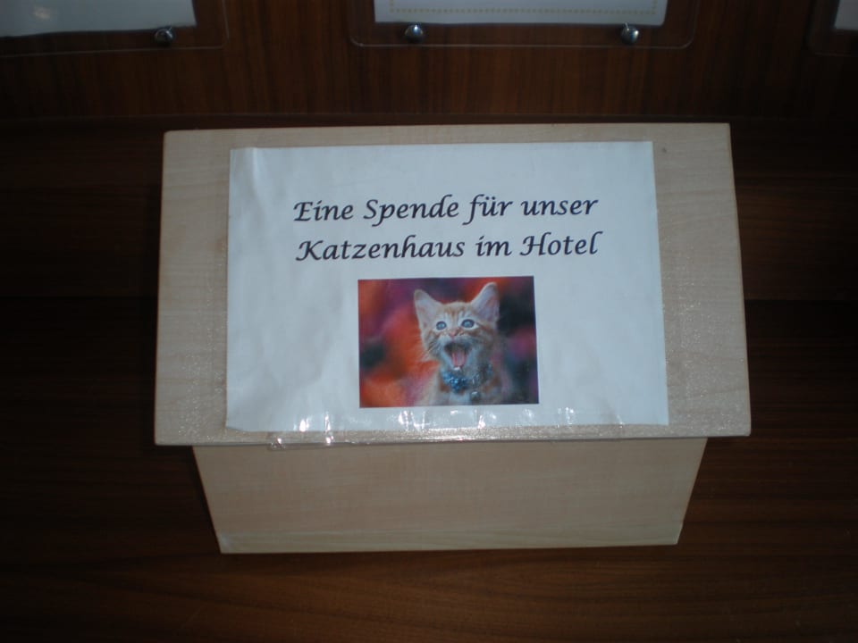 Spende für Katzen Sentido Trendy Verbena Beach