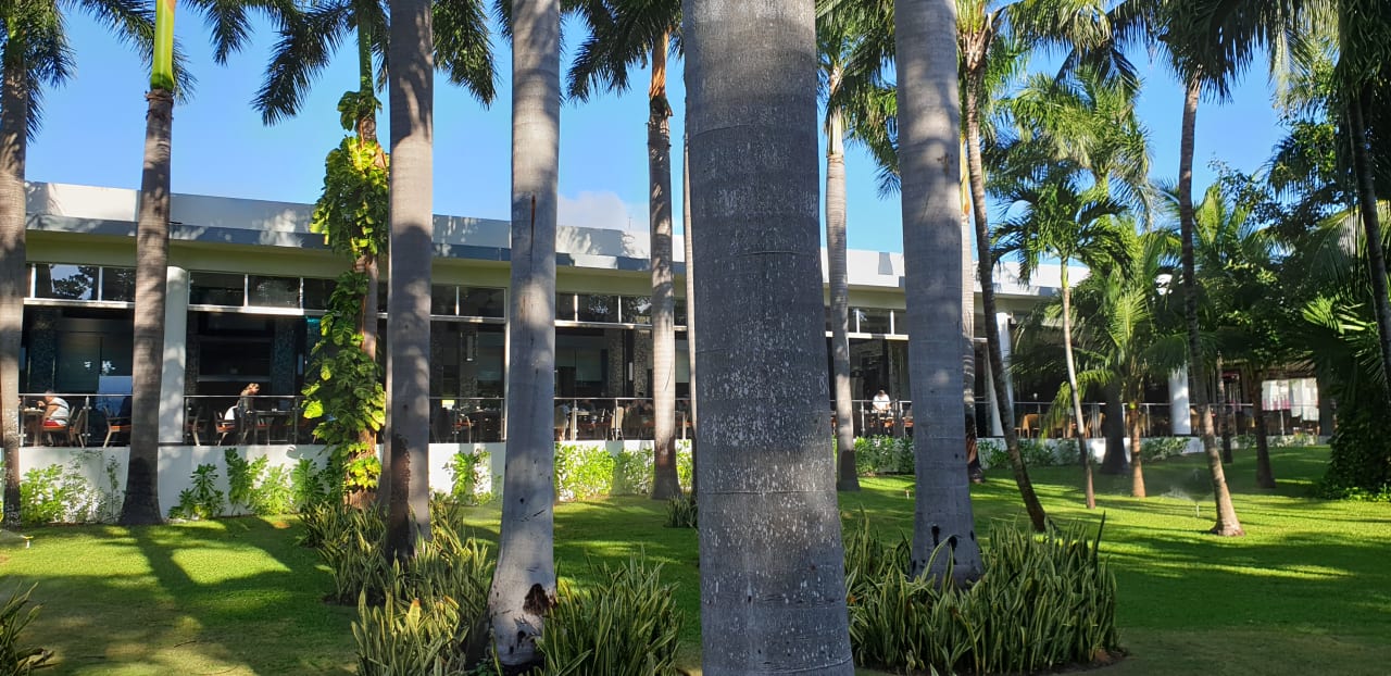 Gartenanlage Hotel Riu Tequila