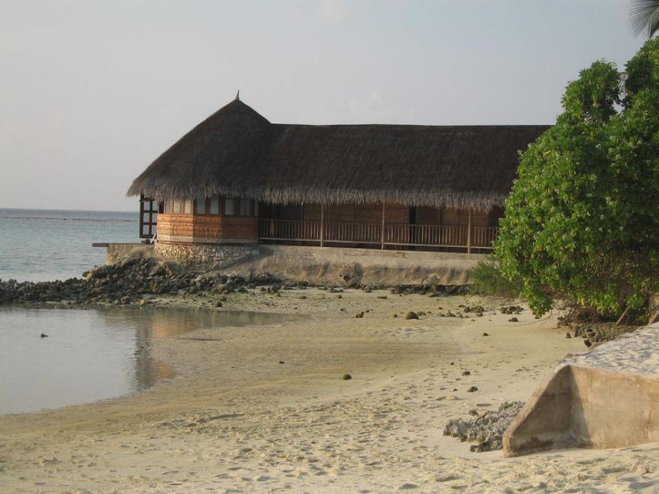 Urlaubsbilder Summer Island Village Summer Island Maldives