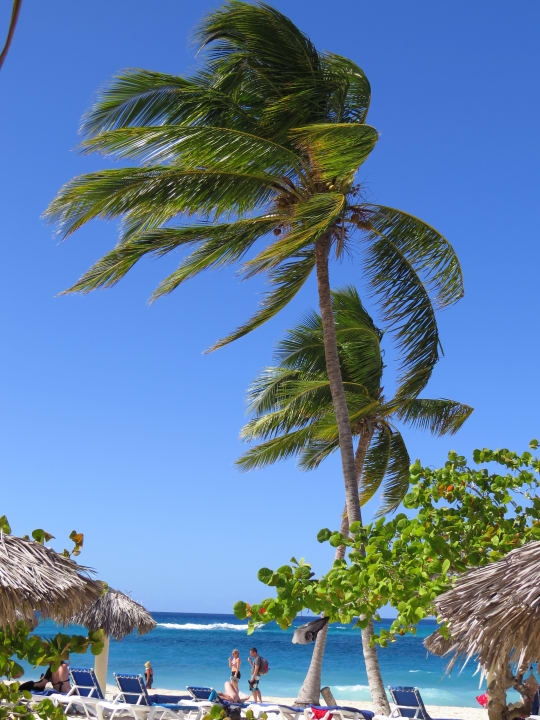 Strand Sol Rio De Luna y Mares