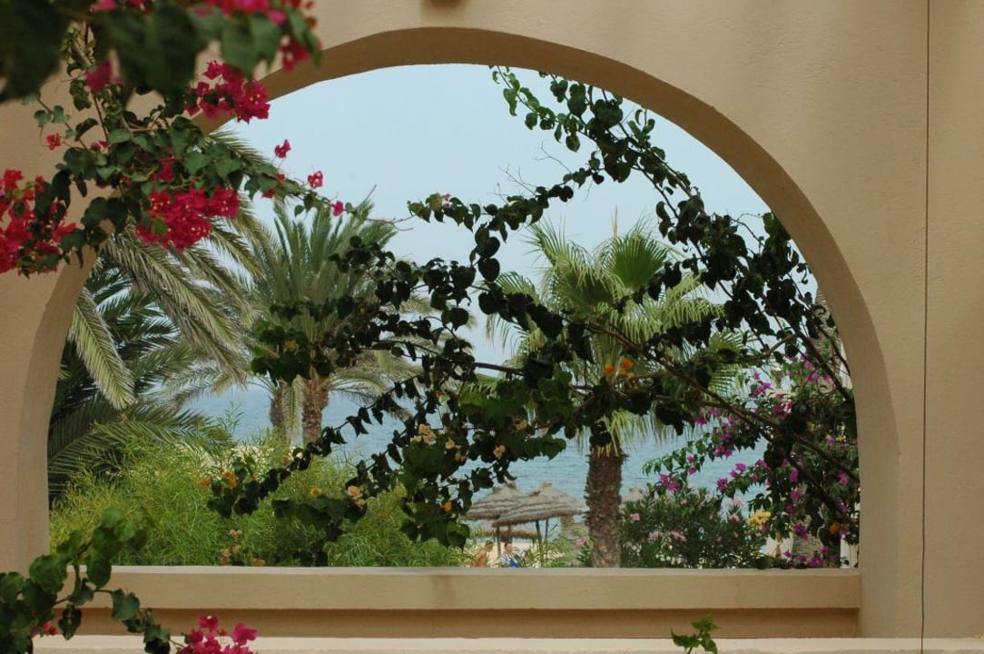 Vue du bungalow Zita Beach Resort