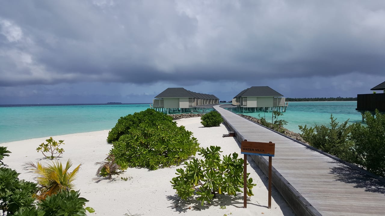 Zimmer Summer Island Maldives