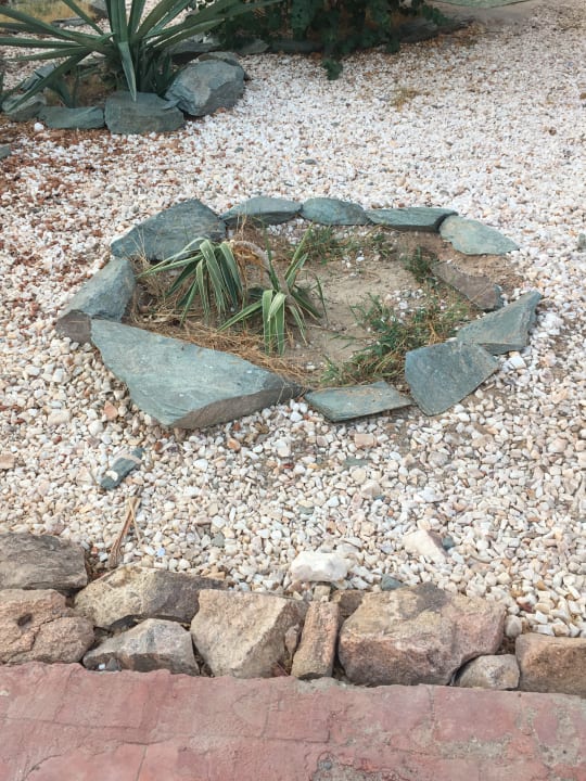 Gartenanlage Swisstouch Oriental Resort Marsa Alam