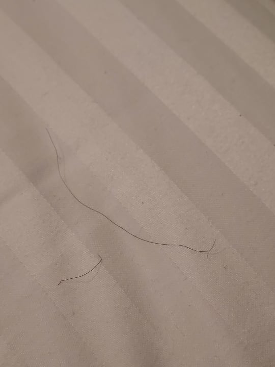 Zimmer Nemea Appart Hotel Elypseo Strasbourg Port