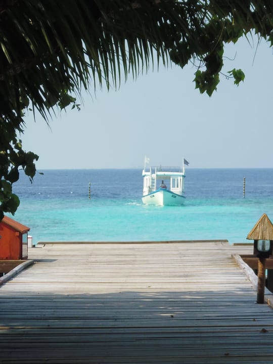 Mit dem Doni zum Tauchen Filitheyo Island Resort