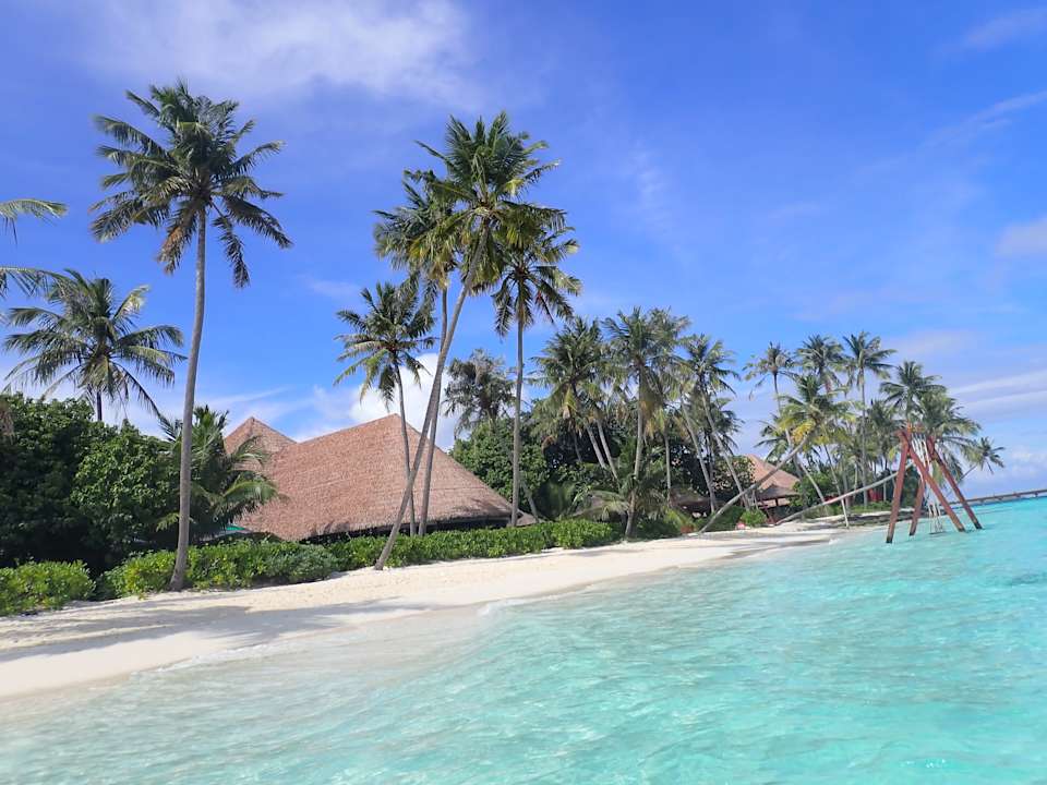 Ausblick Reethi Faru Resort