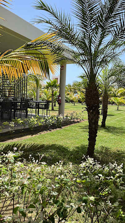 Gastro Hotel Riu Palace Santa Maria