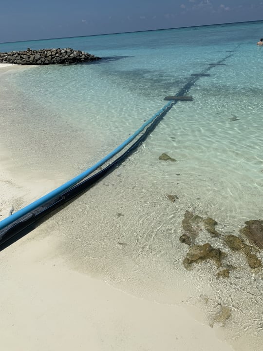 Strand Summer Island Maldives