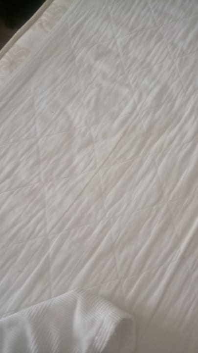 Zimmer Lonicera Resort & Spa Hotel