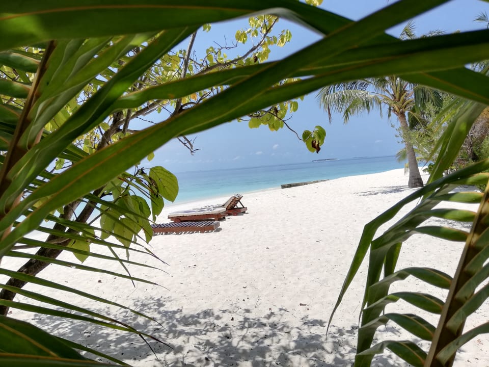Außenansicht Adaaran Select Meedhupparu Island Resort - Premium All Inclusive