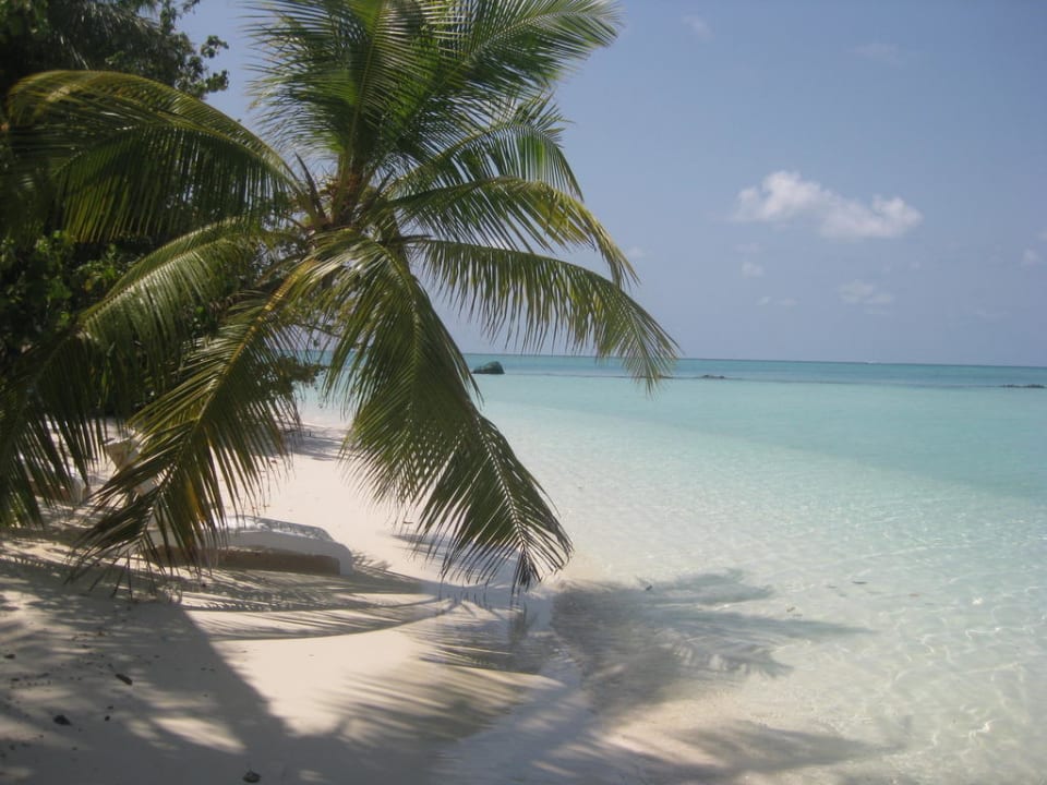 Strand Summer Island Village Summer Island Maldives