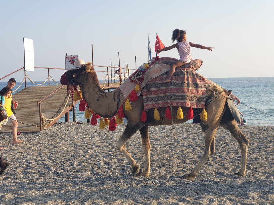 Strand Club Turtas Beach Hotel