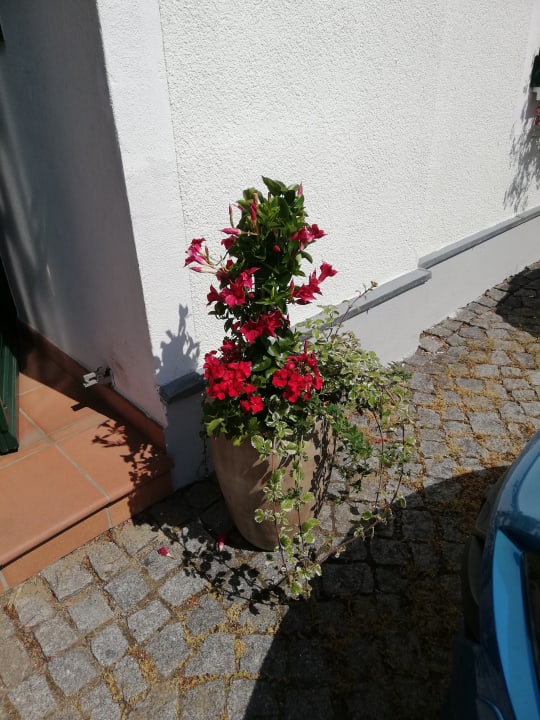 Sonstiges Hotel Stadt Olbernhau