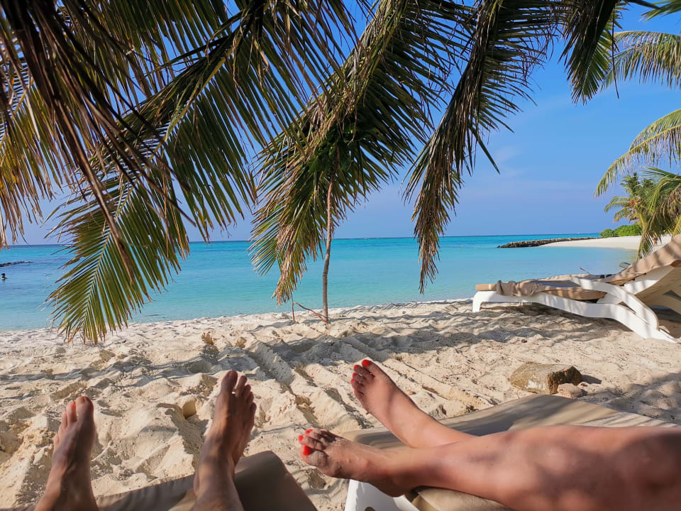 Strand Summer Island Maldives