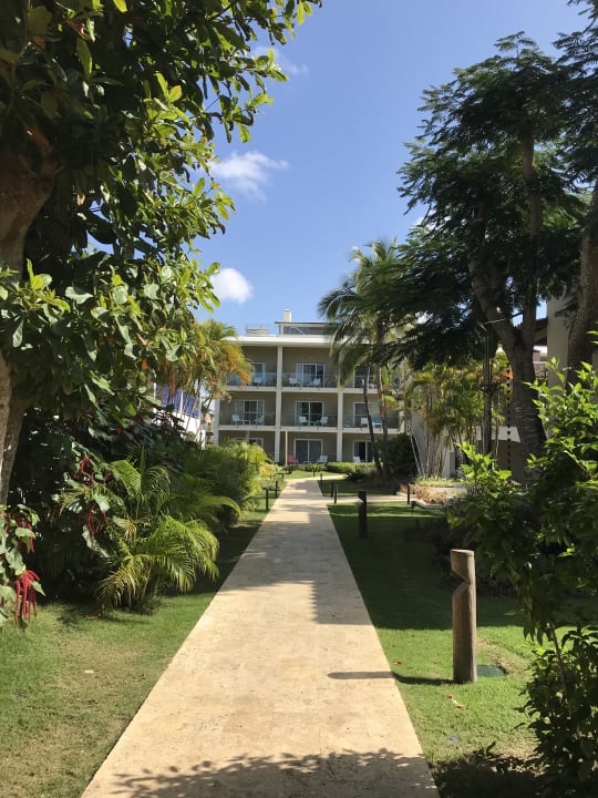 Gartenanlage Catalonia Royal La Romana - Adults only