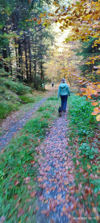 Ausblick Berghotel Hoher Knochen