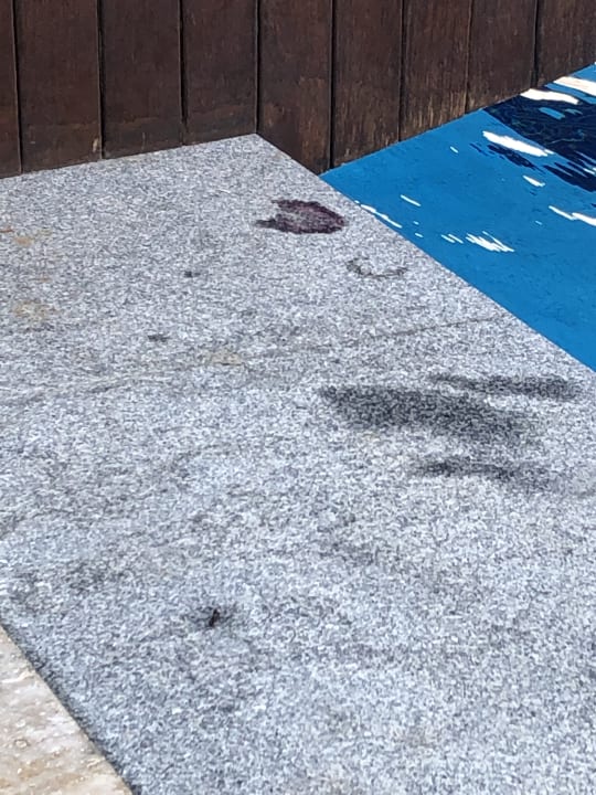 Pool Oz Hotels Side Premium