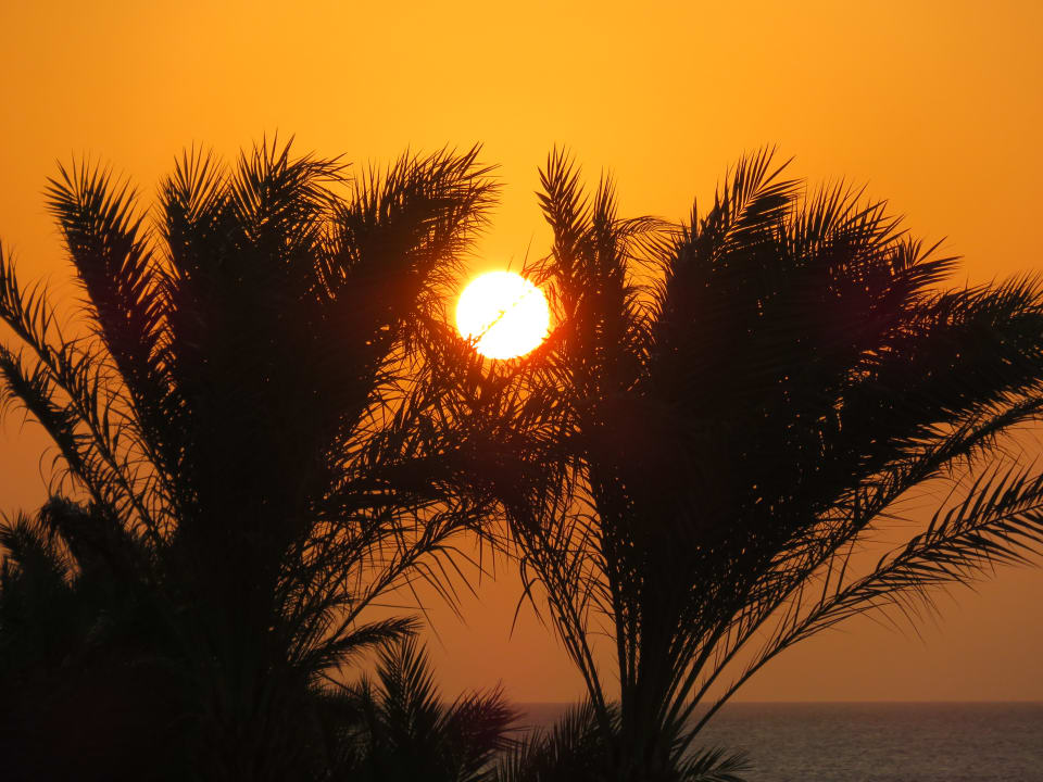 Ausblick Makadi Spa - Adults only