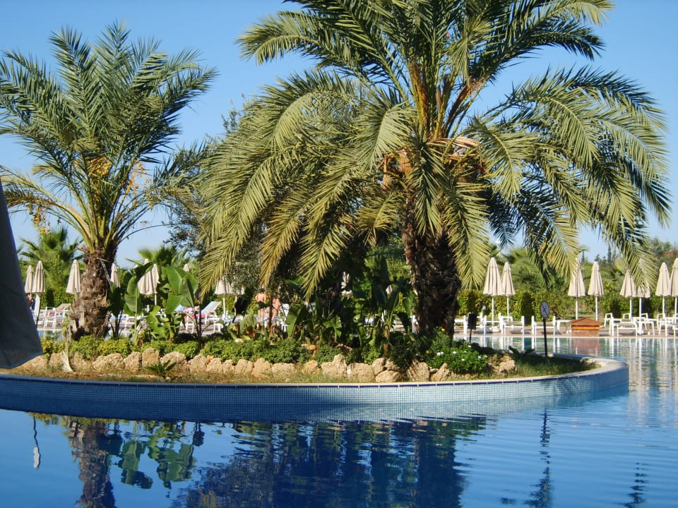 Außenpool Seaden Sea World Resort & Spa