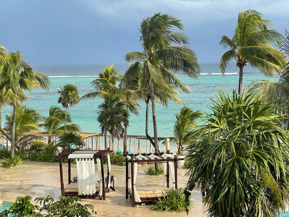 Gartenanlage Akumal Bay Beach & Wellness Resort
