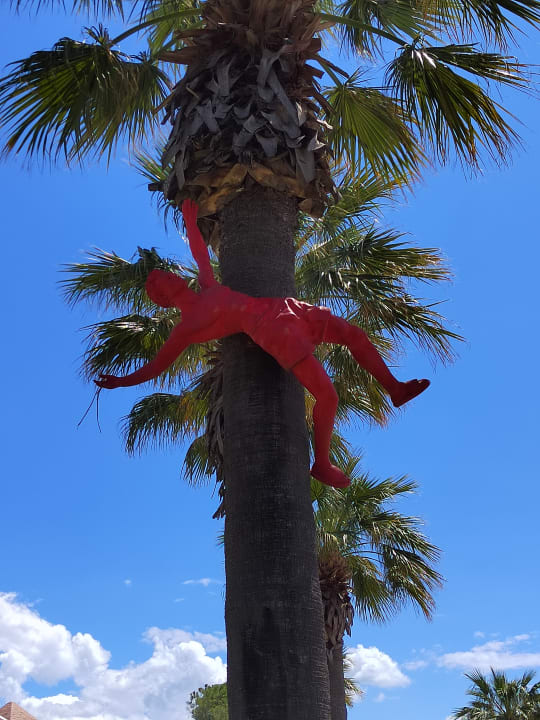 Gartenanlage Megasaray Club Belek