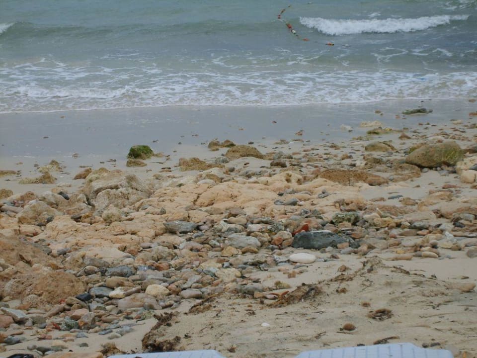 Noch eins Djerba Castille